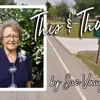 This & That by Sue Vaught