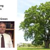 Concerning Oak Trees by Mark Green