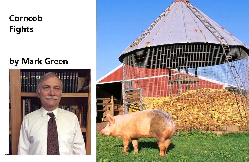 Corncob Fights by Mark Green