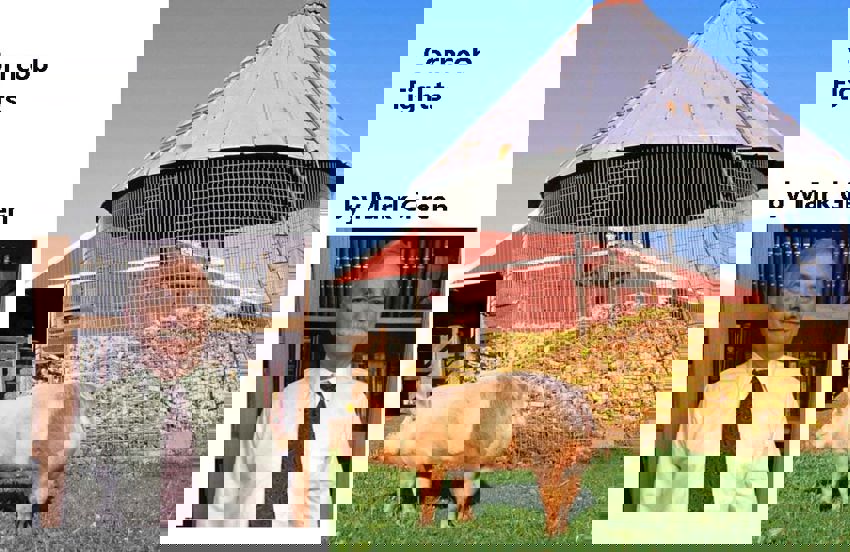 Corncob Fights by Mark Green