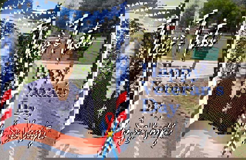 Veteran's Day by Sue Vaught