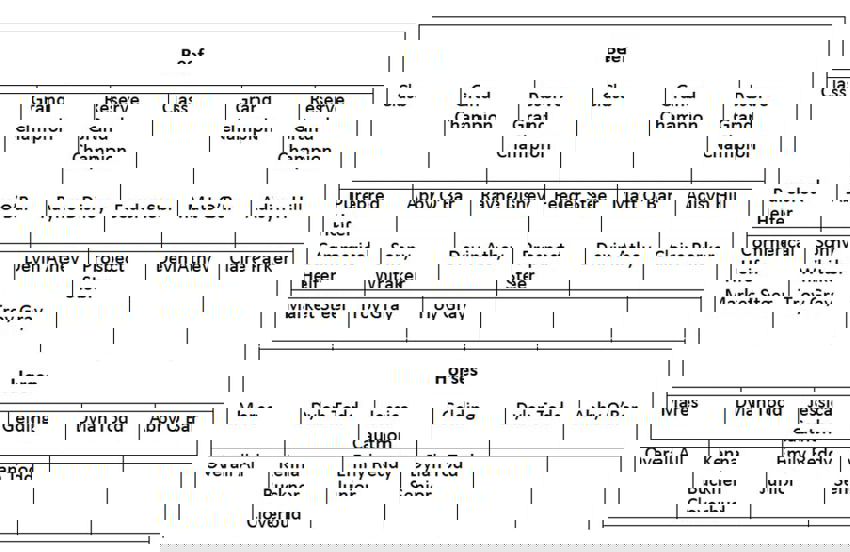 SLC Fair Beef and Horses Winners