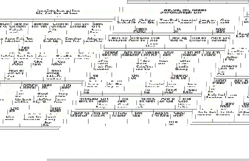 SLC Fair Pigs, Goats, Sheep, Lama Winners