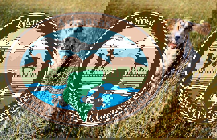 Blue Mountain Field Trials