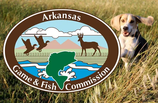 Blue Mountain Field Trials