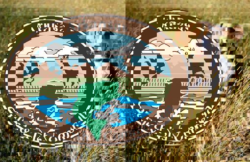 Blue Mountain Field Trials