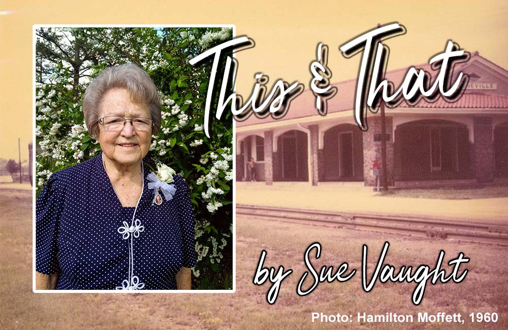 This & That by Sue Vaught
